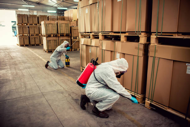 Best Wasp Removal Services  in Leith Hatfield, PA