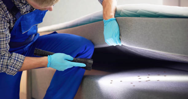 Best Cockroach Control Services  in Leith Hatfield, PA
