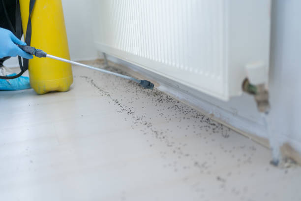 Professional Pest Control in Leith Hatfield, PA