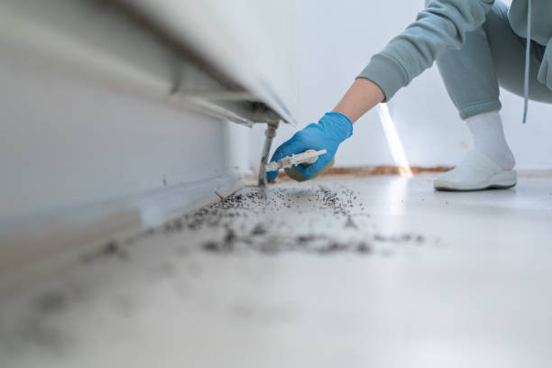 Best Rat Extermination Near Me  in Leith Hatfield, PA